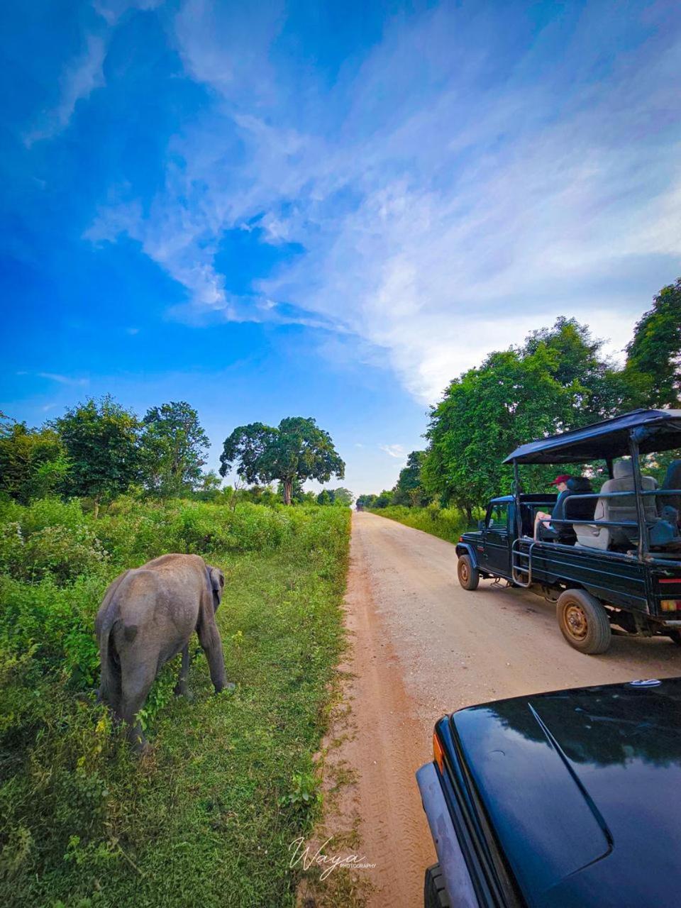 Maka Safari Village Resort Udawalawe Buitenkant foto